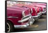 Red and pink vintage American car taxis on street in Havana, Cuba, West Indies, Central America-Ed Hasler-Framed Stretched Canvas