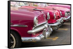 Red and pink vintage American car taxis on street in Havana, Cuba, West Indies, Central America-Ed Hasler-Framed Stretched Canvas