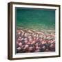 Red and Rose Cooling, 2012-Lincoln Seligman-Framed Giclee Print