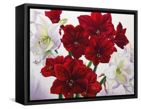 Red and White Amaryllis, 2008-Christopher Ryland-Framed Stretched Canvas