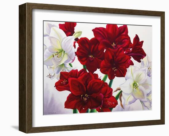 Red and White Amaryllis, 2008-Christopher Ryland-Framed Giclee Print