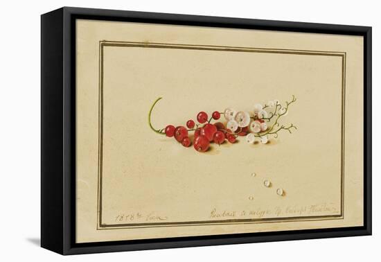 Red and White Currants, 1818-Fedor Petrovich Tolstoy-Framed Stretched Canvas