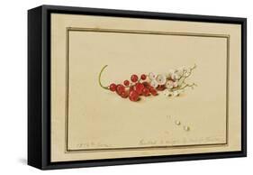 Red and White Currants, 1818-Fedor Petrovich Tolstoy-Framed Stretched Canvas