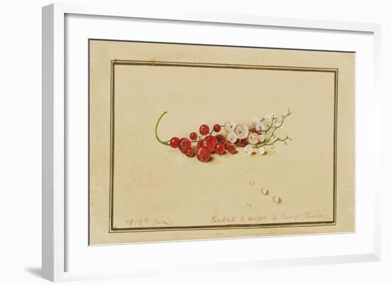 Red and White Currants, 1818-Fedor Petrovich Tolstoy-Framed Giclee Print