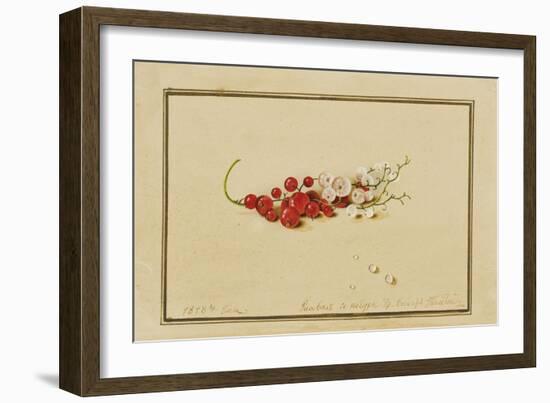 Red and White Currants, 1818-Fedor Petrovich Tolstoy-Framed Giclee Print