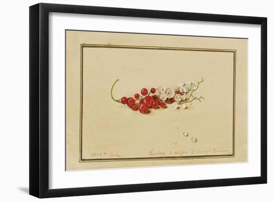 Red and White Currants, 1818-Fedor Petrovich Tolstoy-Framed Giclee Print