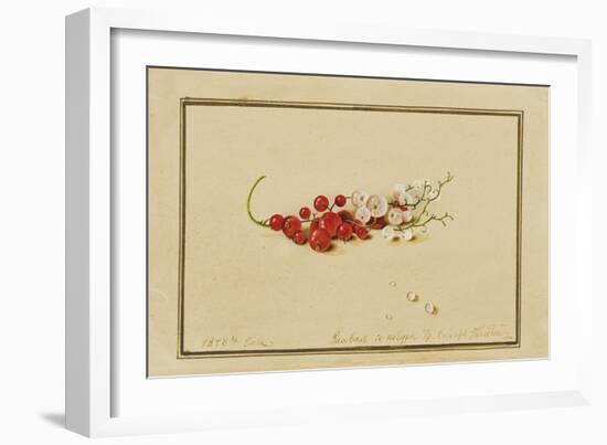 Red and White Currants, 1818-Fedor Petrovich Tolstoy-Framed Giclee Print