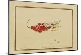 Red and White Currants, 1818-Fedor Petrovich Tolstoy-Mounted Giclee Print