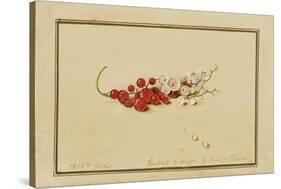 Red and White Currants, 1818-Fedor Petrovich Tolstoy-Stretched Canvas