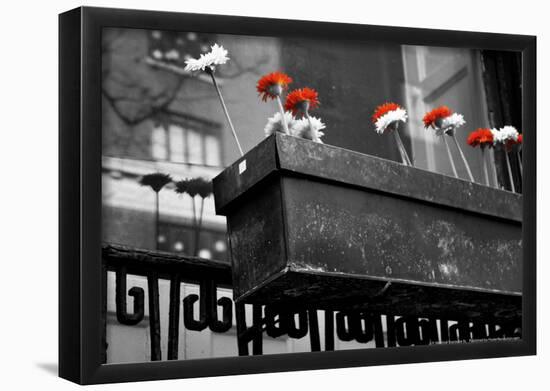 Red and White Flowers in Planter-null-Framed Poster