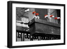 Red and White Flowers in Planter-null-Framed Photo