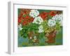 Red and White Geraniums in Pots, 2013-Jennifer Abbott-Framed Giclee Print