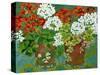 Red and White Geraniums in Pots, 2013-Jennifer Abbott-Stretched Canvas