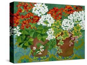 Red and White Geraniums in Pots, 2013-Jennifer Abbott-Stretched Canvas