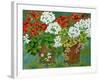 Red and White Geraniums in Pots, 2013-Jennifer Abbott-Framed Giclee Print