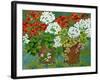 Red and White Geraniums in Pots, 2013-Jennifer Abbott-Framed Giclee Print