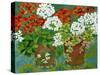 Red and White Geraniums in Pots, 2013-Jennifer Abbott-Stretched Canvas