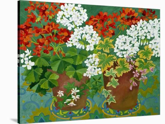 Red and White Geraniums in Pots, 2013-Jennifer Abbott-Stretched Canvas