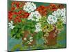 Red and White Geraniums in Pots, 2013-Jennifer Abbott-Mounted Giclee Print