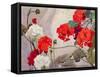 Red and White Geraniums-Richard E. Clarke-Framed Stretched Canvas