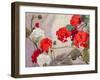 Red and White Geraniums-Richard E. Clarke-Framed Giclee Print