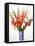 Red and White Gladioli-Christopher Ryland-Framed Stretched Canvas