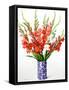 Red and White Gladioli-Christopher Ryland-Framed Stretched Canvas