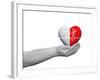 Red and White Human Heart Sign or Symbol with Pulse Held in Human Man or Woman Hands-bestdesign36-Framed Photographic Print