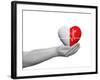 Red and White Human Heart Sign or Symbol with Pulse Held in Human Man or Woman Hands-bestdesign36-Framed Photographic Print