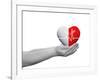 Red and White Human Heart Sign or Symbol with Pulse Held in Human Man or Woman Hands-bestdesign36-Framed Photographic Print