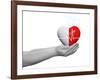 Red and White Human Heart Sign or Symbol with Pulse Held in Human Man or Woman Hands-bestdesign36-Framed Photographic Print