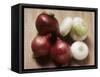 Red and White Onions-Eising Studio - Food Photo and Video-Framed Stretched Canvas