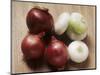 Red and White Onions-Eising Studio - Food Photo and Video-Mounted Photographic Print