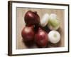 Red and White Onions-Eising Studio - Food Photo and Video-Framed Photographic Print