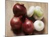 Red and White Onions-Eising Studio - Food Photo and Video-Mounted Photographic Print