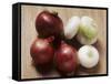 Red and White Onions-Eising Studio - Food Photo and Video-Framed Stretched Canvas