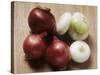 Red and White Onions-Eising Studio - Food Photo and Video-Stretched Canvas