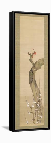 Red and White Plum Blossoms-Sakai Oho-Framed Stretched Canvas