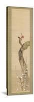 Red and White Plum Blossoms-Sakai Oho-Stretched Canvas