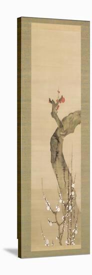Red and White Plum Blossoms-Sakai Oho-Stretched Canvas