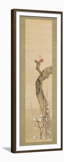 Red and White Plum Blossoms-Sakai Oho-Framed Giclee Print