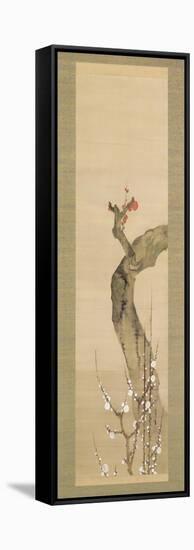 Red and White Plum Blossoms-Sakai Oho-Framed Stretched Canvas