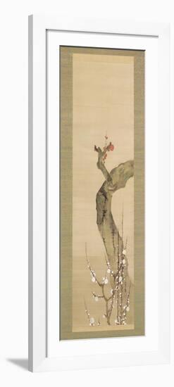 Red and White Plum Blossoms-Sakai Oho-Framed Giclee Print