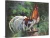 Red And White Rooster-Nenad Mirkovich-Stretched Canvas