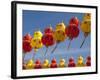 Red and Yellow Chinese Lanterns Hung for New Years, Kek Lok Si Temple, Island of Penang, Malaysia-Cindy Miller Hopkins-Framed Photographic Print