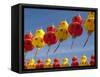 Red and Yellow Chinese Lanterns Hung for New Years, Kek Lok Si Temple, Island of Penang, Malaysia-Cindy Miller Hopkins-Framed Stretched Canvas