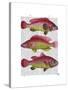 Red and Yellow Fantasy Fish Trio-Fab Funky-Stretched Canvas