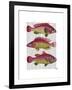 Red and Yellow Fantasy Fish Trio-Fab Funky-Framed Art Print