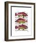 Red and Yellow Fantasy Fish Trio-Fab Funky-Framed Art Print