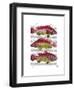 Red and Yellow Fantasy Fish Trio-Fab Funky-Framed Art Print